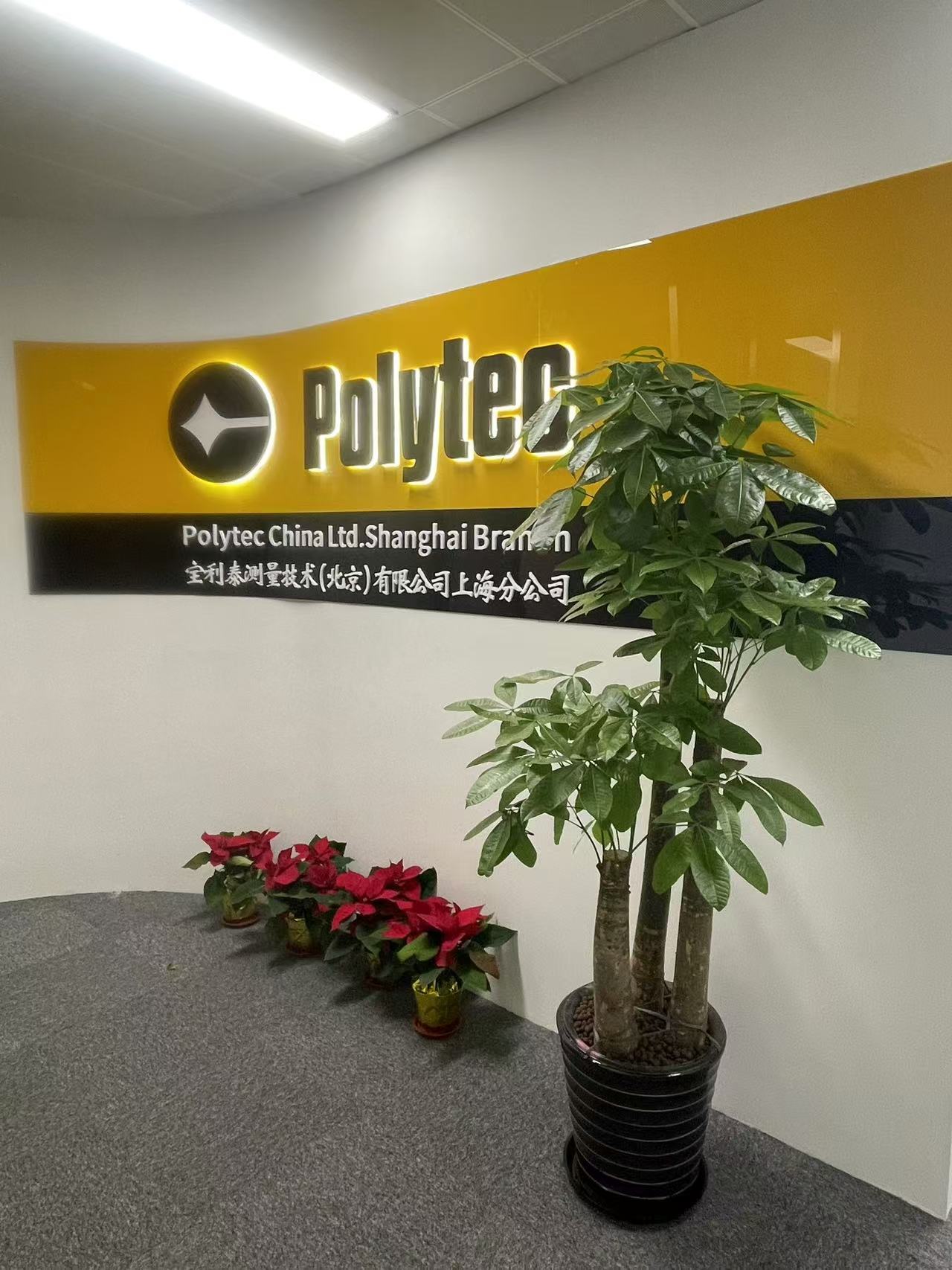 上海分公司正式開業！新征程啟航，邀您共襄盛舉。璀璨開幕，見證輝煌！